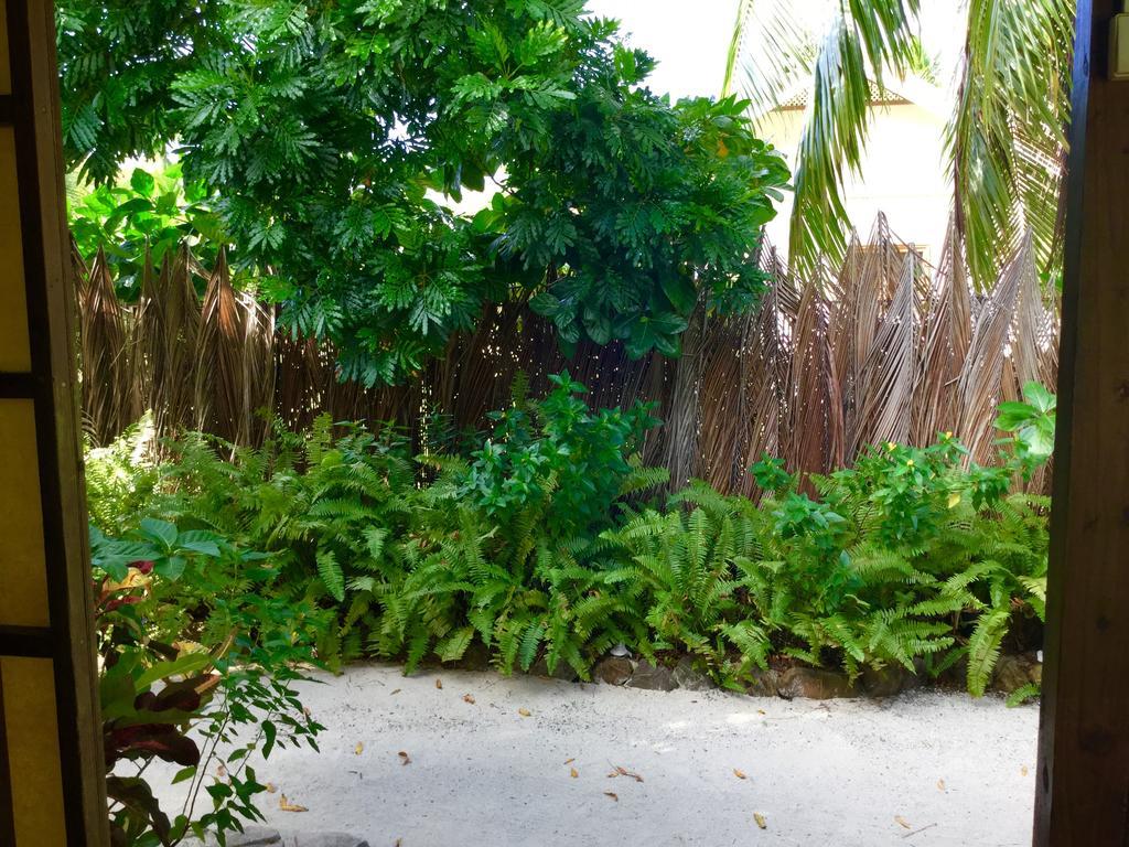 Fare Maeva Moorea Teavaro Exterior photo