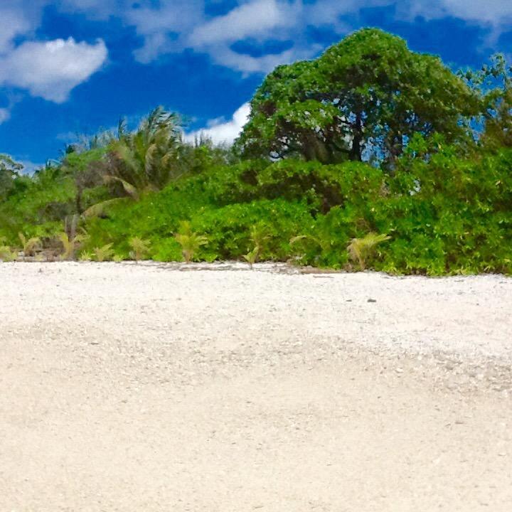 Fare Maeva Moorea Teavaro Room photo